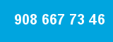 908 667 73 46